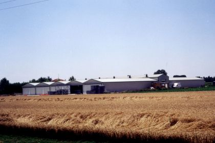 8 stanze di coltivazione, un corridoio centrale di smistamento del prodotto raccolto, un magazzino di stoccaggio di materiale per imballaggio e confezionamento, mensa, uffici e servizi